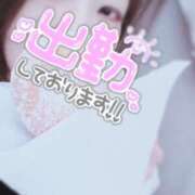 ヒメ日記 2025/12/17 14:56 投稿 なほ 厚木人妻城