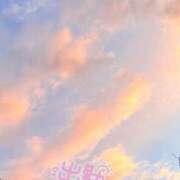 ヒメ日記 2026/01/30 17:25 投稿 なほ 厚木人妻城