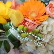 ヒメ日記 2026/02/01 04:29 投稿 なほ 厚木人妻城