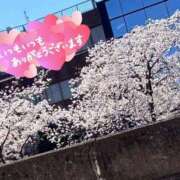 ヒメ日記 2026/04/06 13:48 投稿 なほ 厚木人妻城