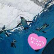 ヒメ日記 2026/04/11 13:05 投稿 なほ 厚木人妻城