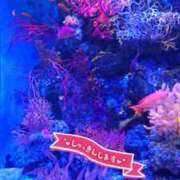 ヒメ日記 2026/04/17 19:21 投稿 なほ 厚木人妻城