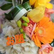 ヒメ日記 2026/05/18 03:14 投稿 なほ モアグループ厚木人妻城