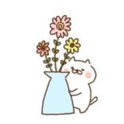 ヒメ日記 2025/02/08 03:14 投稿 もか 一宮稲沢小牧ちゃんこ