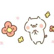 ヒメ日記 2025/02/10 02:04 投稿 もか 一宮稲沢小牧ちゃんこ