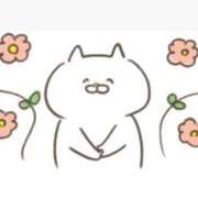 ヒメ日記 2025/02/11 15:02 投稿 もか 一宮稲沢小牧ちゃんこ