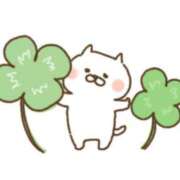 ヒメ日記 2025/03/18 02:44 投稿 もか 一宮稲沢小牧ちゃんこ