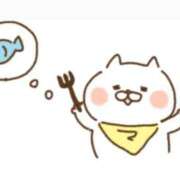 ヒメ日記 2025/03/19 00:02 投稿 もか 一宮稲沢小牧ちゃんこ