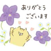 ヒメ日記 2025/03/27 02:54 投稿 もか 一宮稲沢小牧ちゃんこ