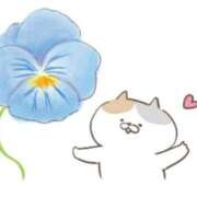 ヒメ日記 2025/04/22 00:44 投稿 もか 一宮稲沢小牧ちゃんこ