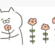 ヒメ日記 2025/04/24 02:44 投稿 もか 一宮稲沢小牧ちゃんこ