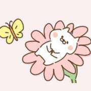 ヒメ日記 2025/04/27 00:10 投稿 もか 一宮稲沢小牧ちゃんこ