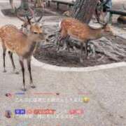 ヒメ日記 2025/08/14 09:16 投稿 藤月エリザ ニューハーフヘルスLIBE大阪梅田店