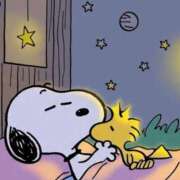 ヒメ日記 2025/08/12 23:50 投稿 みく チューリップ姫路店