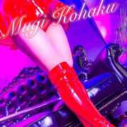 ヒメ日記 2024/12/28 23:35 投稿 琥珀むぎ＠底なしルーインド沼 アナラードライ