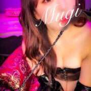 ヒメ日記 2024/12/29 13:54 投稿 琥珀むぎ＠底なしルーインド沼 アナラードライ