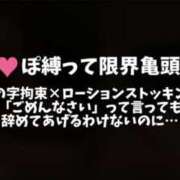 ヒメ日記 2025/05/19 18:16 投稿 琥珀むぎ＠底なしルーインド沼 アナラードライ