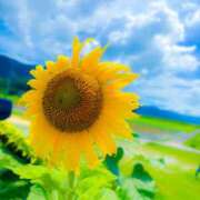 ヒメ日記 2025/07/21 10:32 投稿 琥珀むぎ＠底なしルーインド沼 アナラードライ