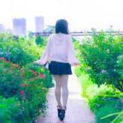 ヒメ日記 2025/09/10 00:19 投稿 琥珀むぎ＠底なしルーインド沼 アナラードライ