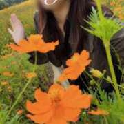 ヒメ日記 2025/09/10 22:24 投稿 琥珀むぎ＠底なしルーインド沼 アナラードライ