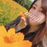 ヒメ日記 2025/09/11 17:25 投稿 琥珀むぎ＠底なしルーインド沼 アナラードライ