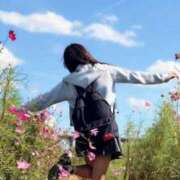 ヒメ日記 2025/09/28 10:40 投稿 琥珀むぎ＠底なしルーインド沼 アナラードライ