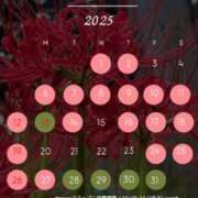 ヒメ日記 2025/10/01 00:57 投稿 琥珀むぎ＠底なしルーインド沼 アナラードライ