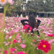 ヒメ日記 2025/10/04 23:45 投稿 琥珀むぎ＠底なしルーインド沼 アナラードライ