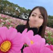 ヒメ日記 2025/10/06 11:45 投稿 琥珀むぎ＠底なしルーインド沼 アナラードライ