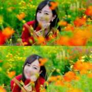 ヒメ日記 2025/10/19 23:40 投稿 琥珀むぎ＠底なしルーインド沼 アナラードライ