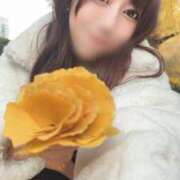 ヒメ日記 2025/12/03 22:27 投稿 琥珀むぎ＠底なしルーインド沼 アナラードライ