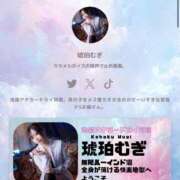 ヒメ日記 2026/02/19 12:01 投稿 琥珀むぎ＠底なしルーインド沼 アナラードライ