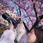 ヒメ日記 2026/02/22 23:53 投稿 琥珀むぎ＠底なしルーインド沼 アナラードライ