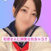 琥珀むぎ＠底なしルーインド沼 【おしらせ】新オプションスタート アナラードライ