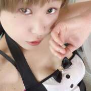 ヒメ日記 2025/04/23 17:43 投稿 うみ 新世紀