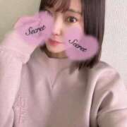 ヒメ日記 2024/12/19 01:29 投稿 かなの 横浜関内人妻城