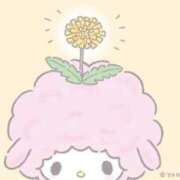 ヒメ日記 2025/04/25 10:51 投稿 白花 柑奈 超LEXUS