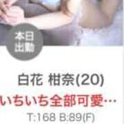 ヒメ日記 2025/11/02 10:21 投稿 白花 柑奈 超LEXUS