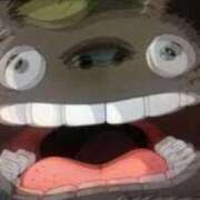 ヒメ日記 2026/02/21 09:41 投稿 白花 柑奈 超LEXUS