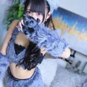 ヒメ日記 2026/09/24 08:21 投稿 白花 柑奈 超LEXUS