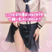 ヒメ日記 2025/03/02 13:51 投稿 さくら ちらりずむ 札幌校