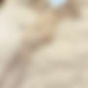 ヒメ日記 2026/03/31 12:15 投稿 ゆき かりんと大久保・新大久保