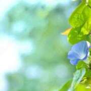 ヒメ日記 2025/08/06 06:49 投稿 ホシノ秘書 秘書の品格 クラブアッシュ ヴァリエ