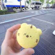 ヒメ日記 2025/10/28 19:15 投稿 ホシノ秘書 秘書の品格 クラブアッシュ ヴァリエ