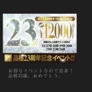 ヒメ日記 2025/11/17 00:17 投稿 ホシノ秘書 秘書の品格 クラブアッシュ ヴァリエ