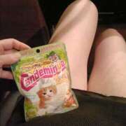 ヒメ日記 2026/02/13 18:09 投稿 ホシノ秘書 秘書の品格 クラブアッシュ ヴァリエ