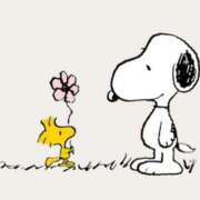 ヒメ日記 2026/02/26 21:15 投稿 ホシノ秘書 秘書の品格 クラブアッシュ ヴァリエ