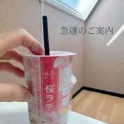 ヒメ日記 2026/03/21 05:58 投稿 ホシノ秘書 秘書の品格 クラブアッシュ ヴァリエ