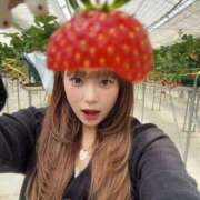 ヒメ日記 2026/02/08 16:32 投稿 かこ 鹿児島ちゃんこ 薩摩川内店