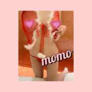 ヒメ日記 2024/12/24 10:03 投稿 もも モアグループ大宮人妻花壇